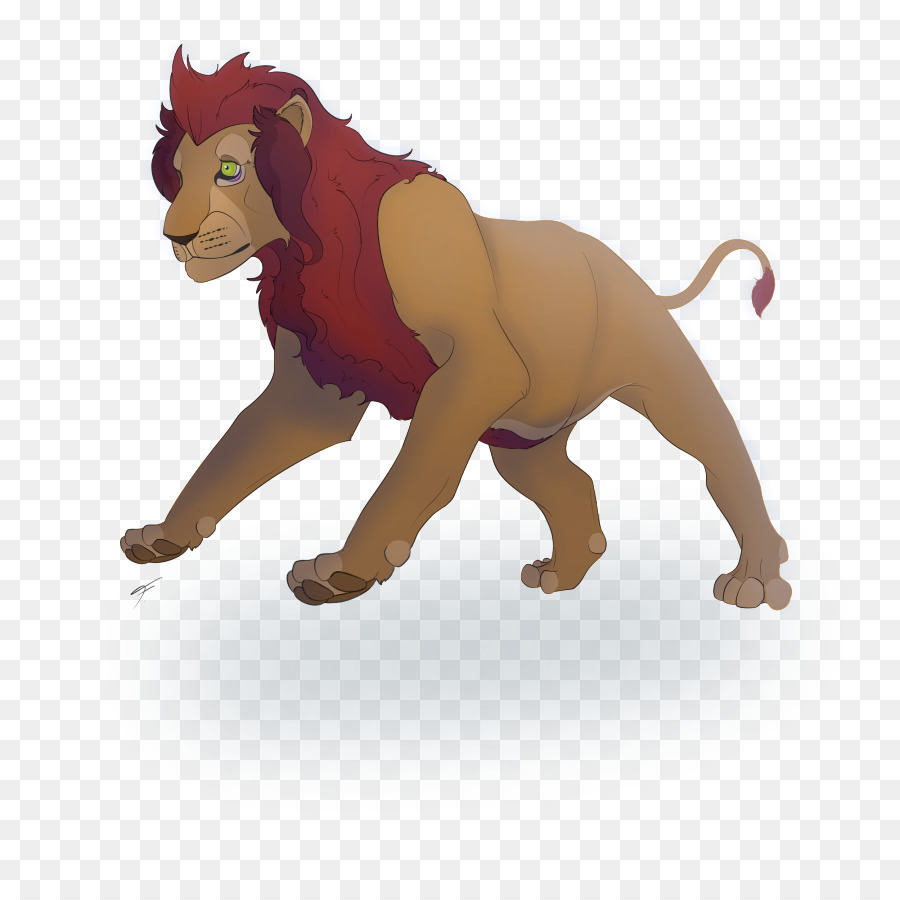 Lion，Sauvage PNG