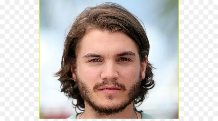 Homme à Barbe，Portrait PNG