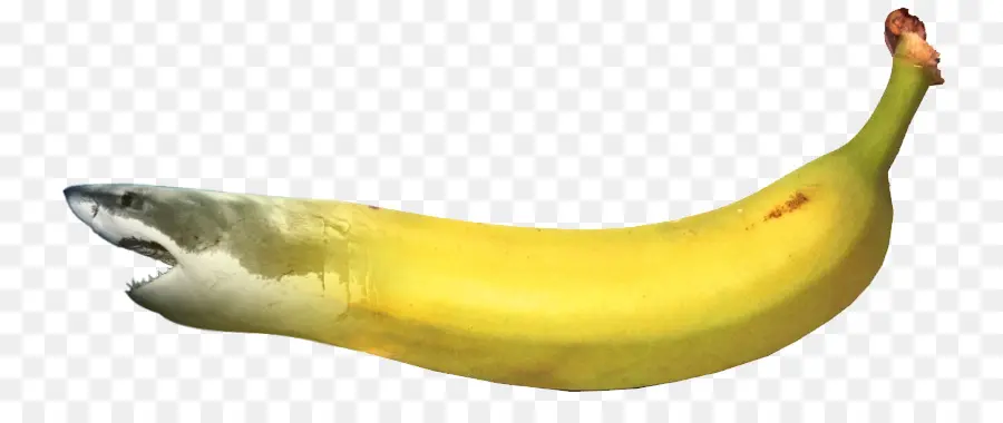 Banane，Requin PNG