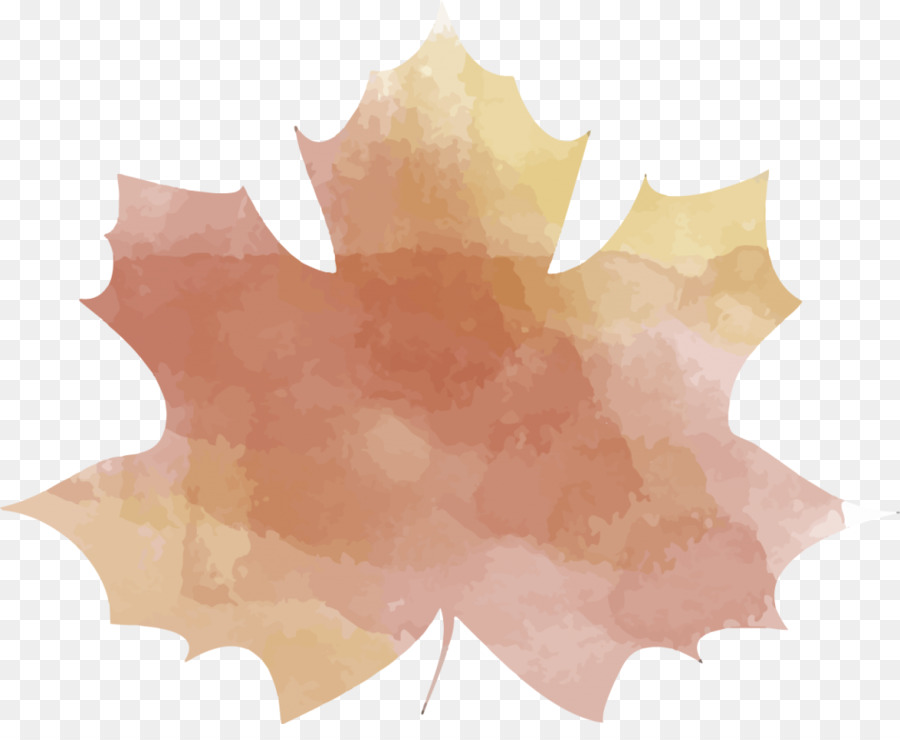 Feuille D'automne，Automne PNG