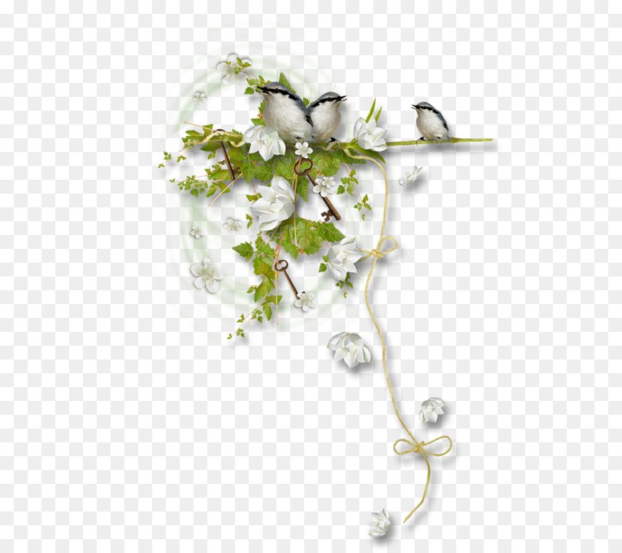 Design Floral，Les Bijoux De Corps PNG