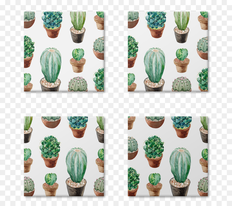 Modèle De Cactus，Succulentes PNG