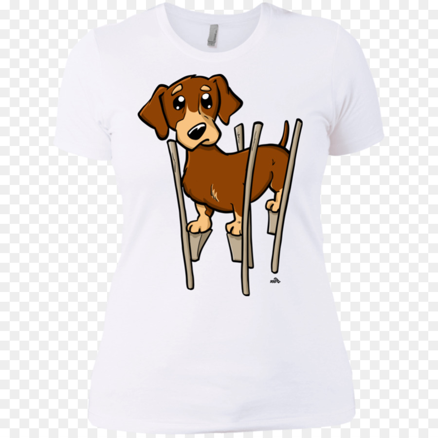 Race De Chien，Teckel PNG