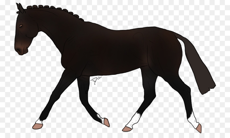 Cheval，équidé PNG