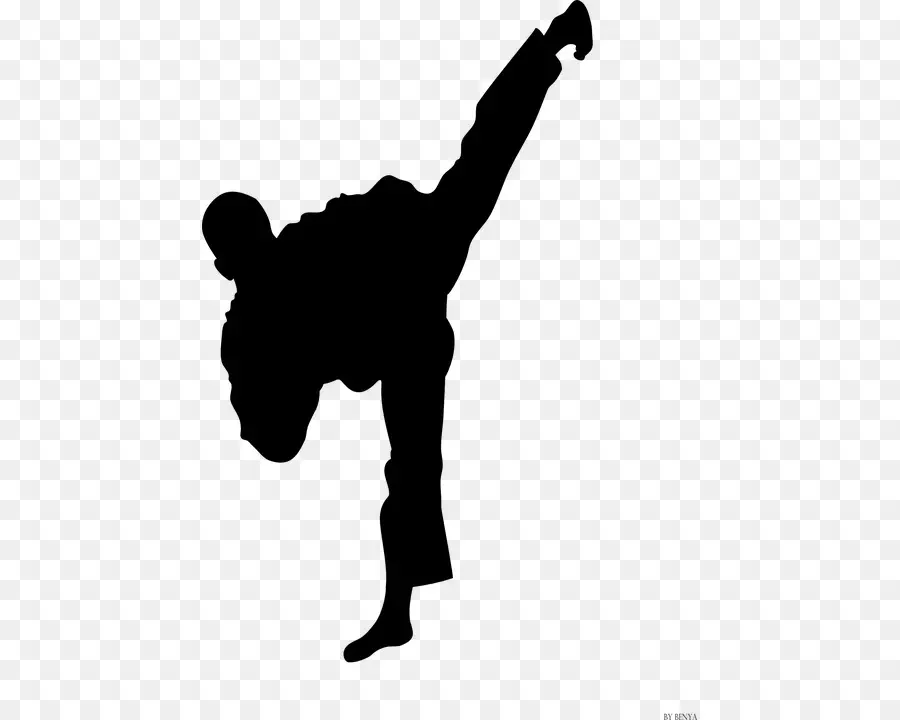 Taekwondo，Karaté PNG