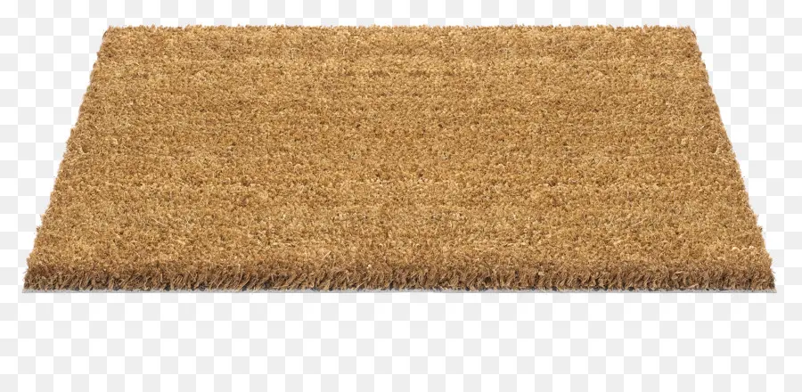 Coco，Tapis PNG