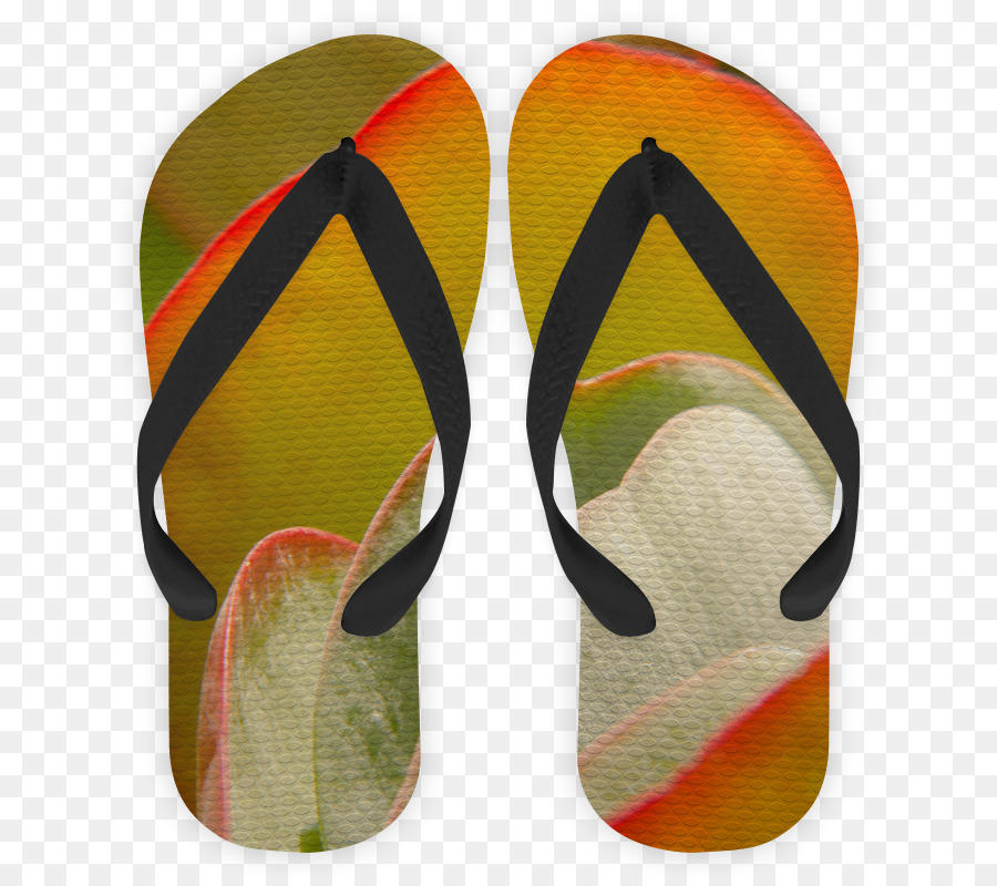 Des Tongs，L Art PNG