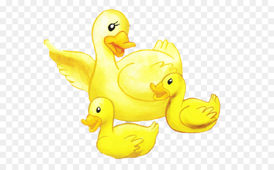 Canards En Caoutchouc，Bain PNG