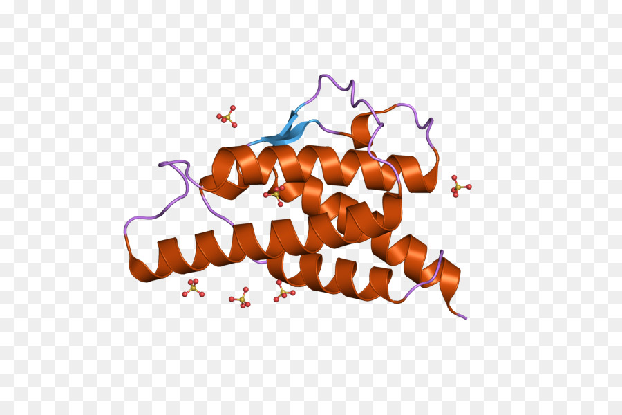 Interleukine 4，De Cellules T Helper PNG