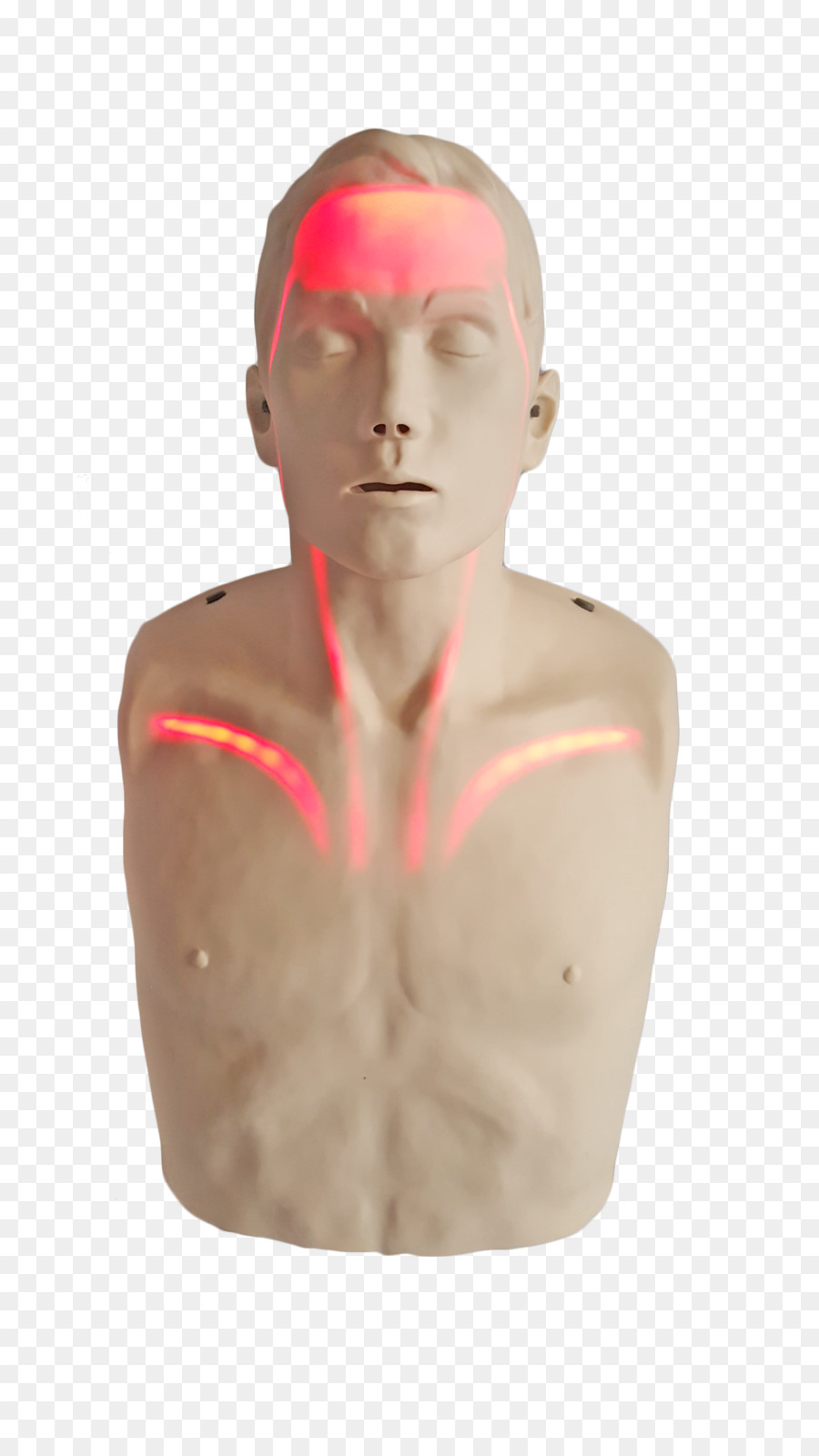 Mannequin，Modèle PNG