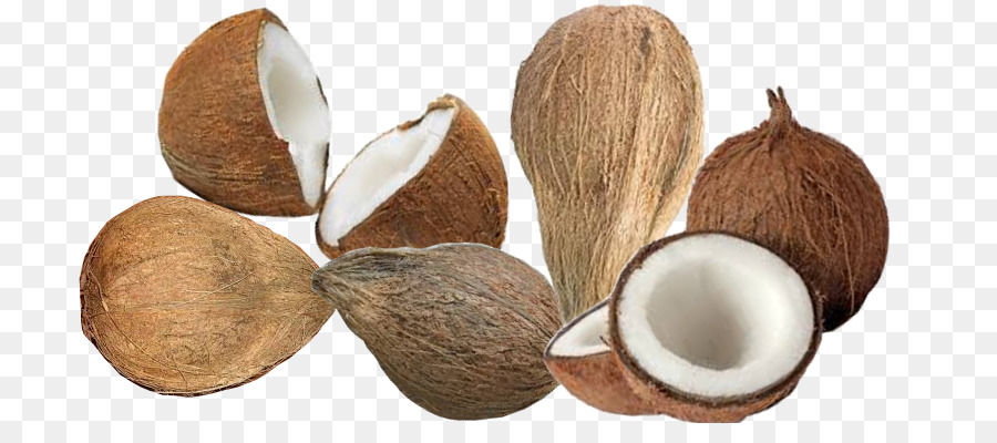 Noix De Coco，Fruit PNG