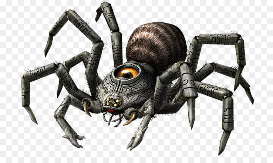 Araignée，Insecte PNG