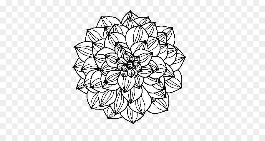 Fleur Noire Et Blanche，Contour PNG