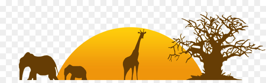 Safari Au Coucher Du Soleil，Animaux PNG