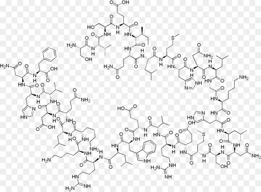Le Tériparatide，L Hormone Parathyroïdienne PNG