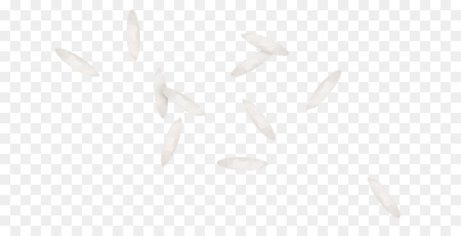 Grains De Riz，Blanc PNG