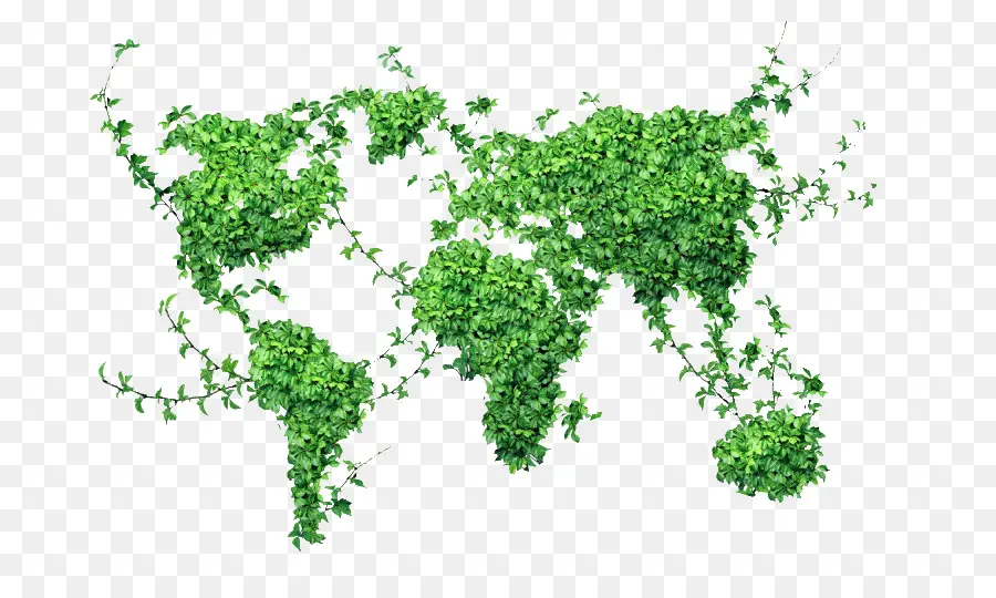 Carte Du Monde Vert，Plantes PNG