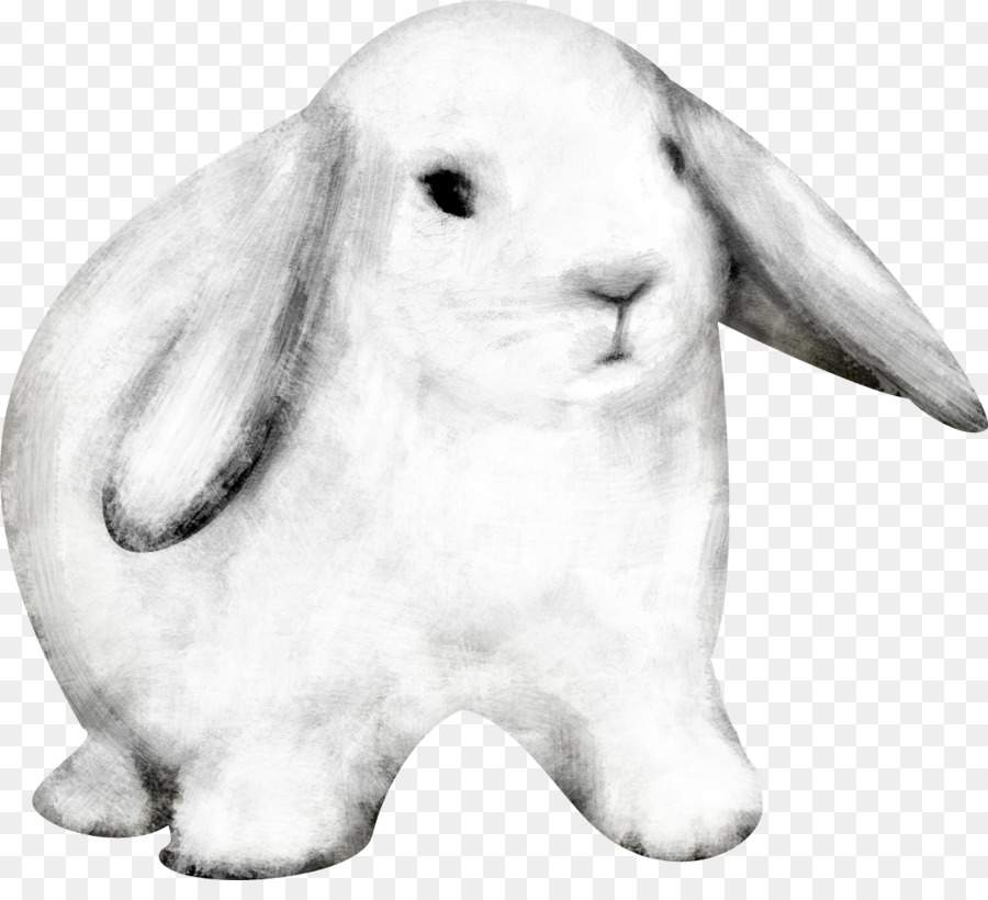 Lapin Blanc，Animal PNG