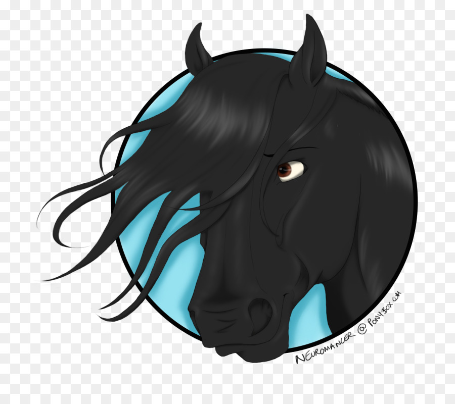 Cheval，Noir PNG