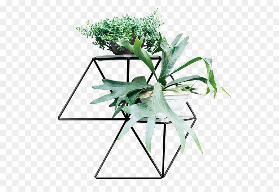 Vase，Les Fleurs Coupées PNG