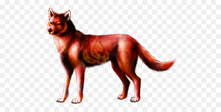 Loup Rouge，Canin PNG