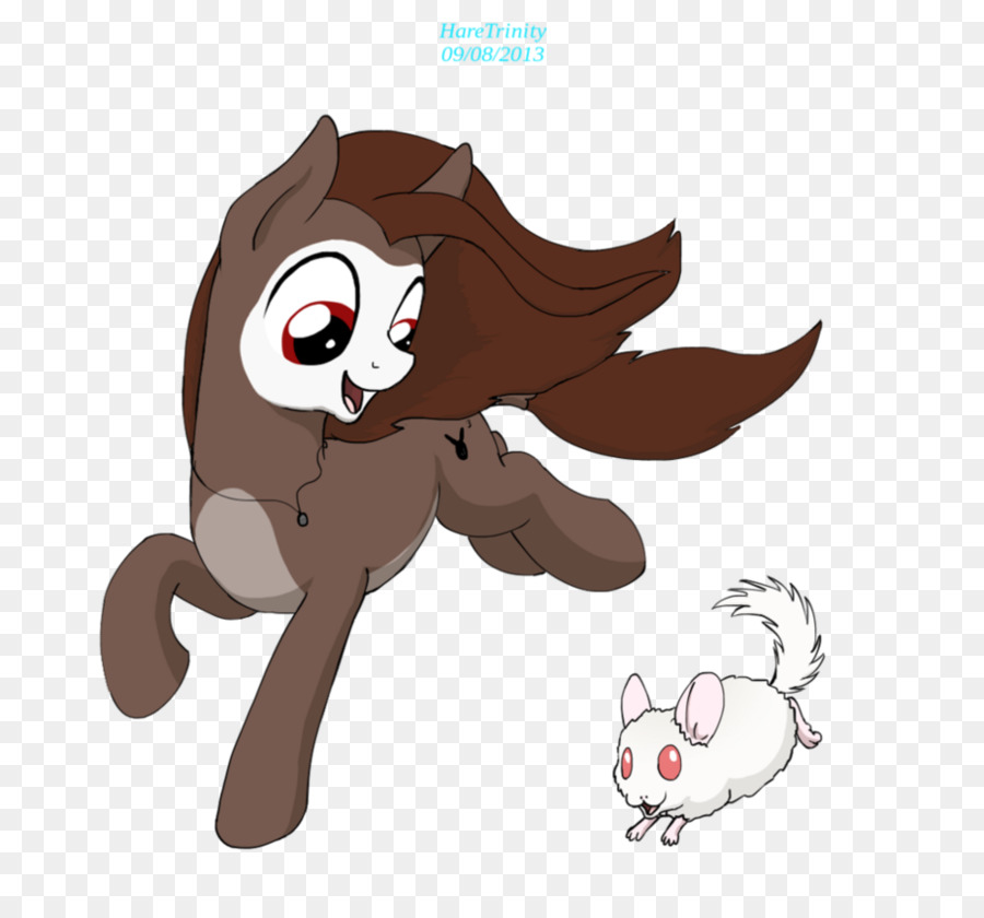 Chat，Poney PNG