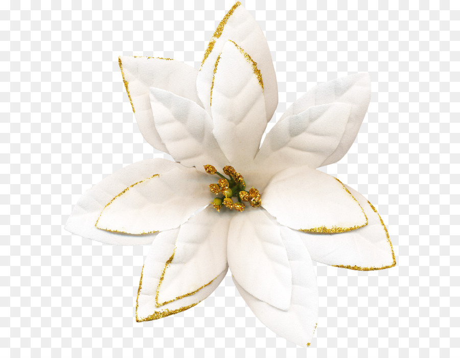 La Floraison De La Plante，Plante PNG