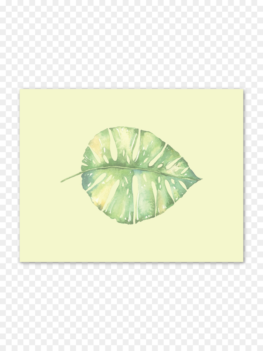 Papier，Feuille PNG