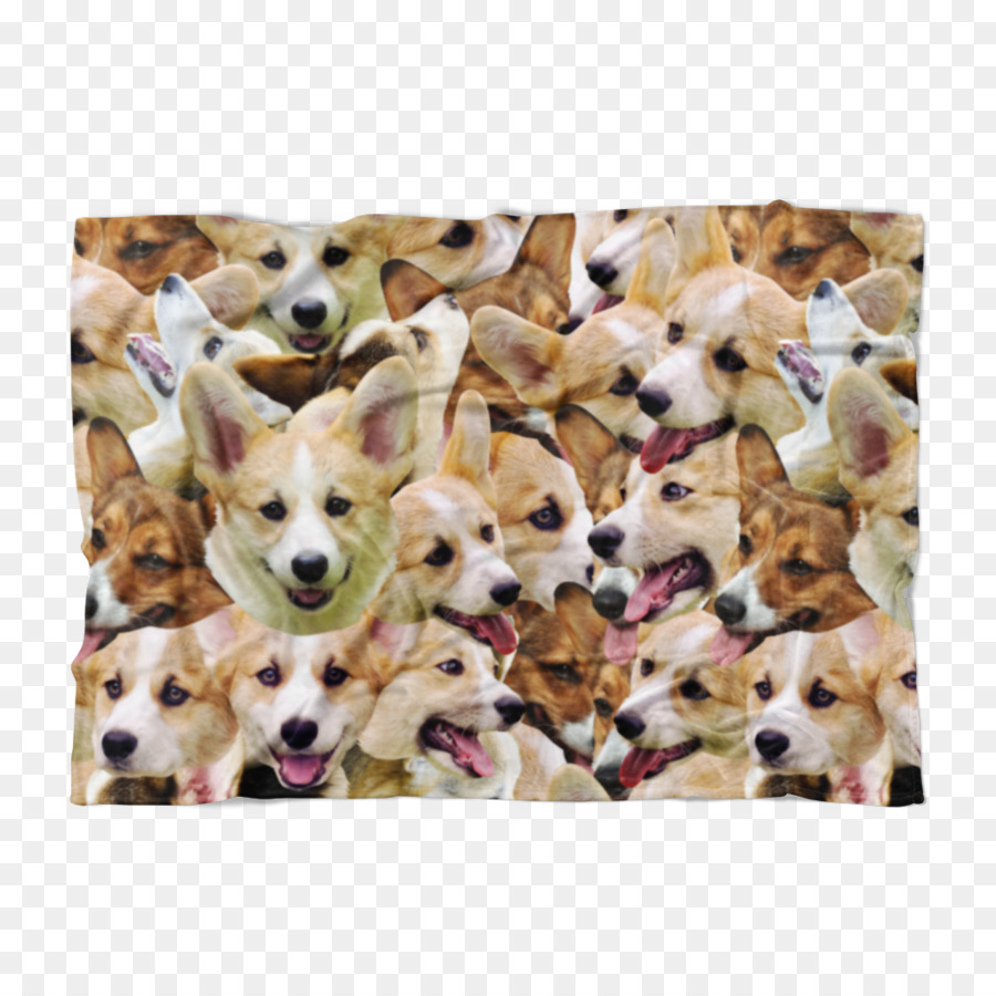 Welsh Corgi Pembroke，Chiot PNG