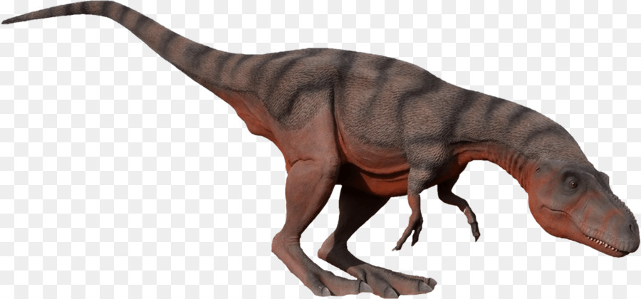 Le Tyrannosaure，Albertosaurus PNG