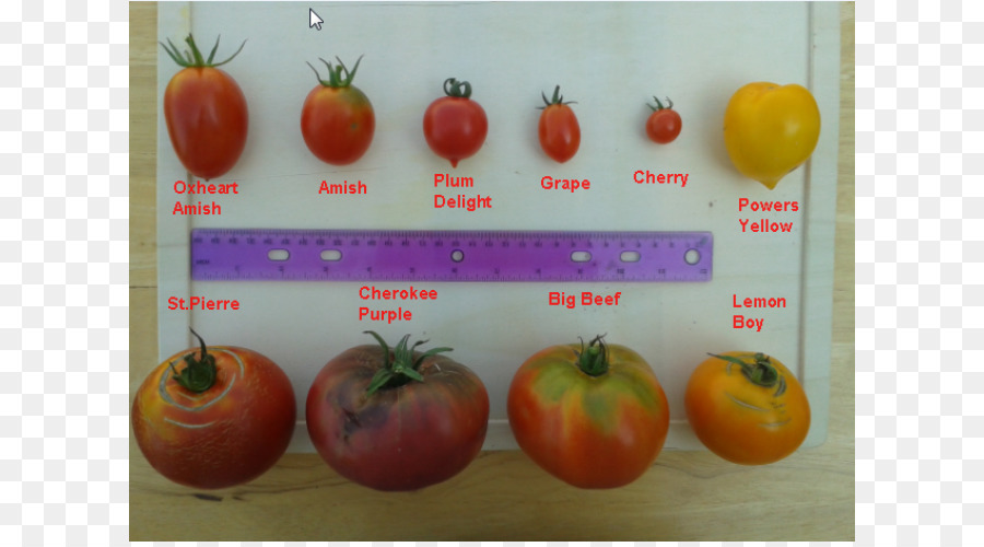 Tomate，Tomates Heirloom PNG