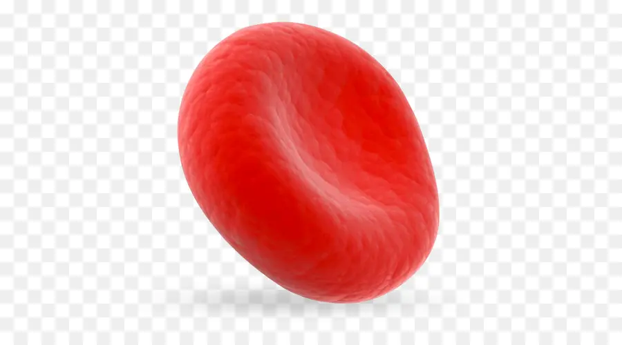 Globule Rouge，Sang PNG