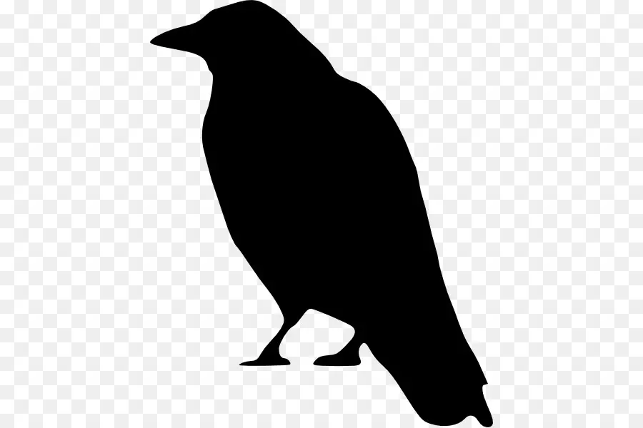 Corbeau，Corbeaux PNG