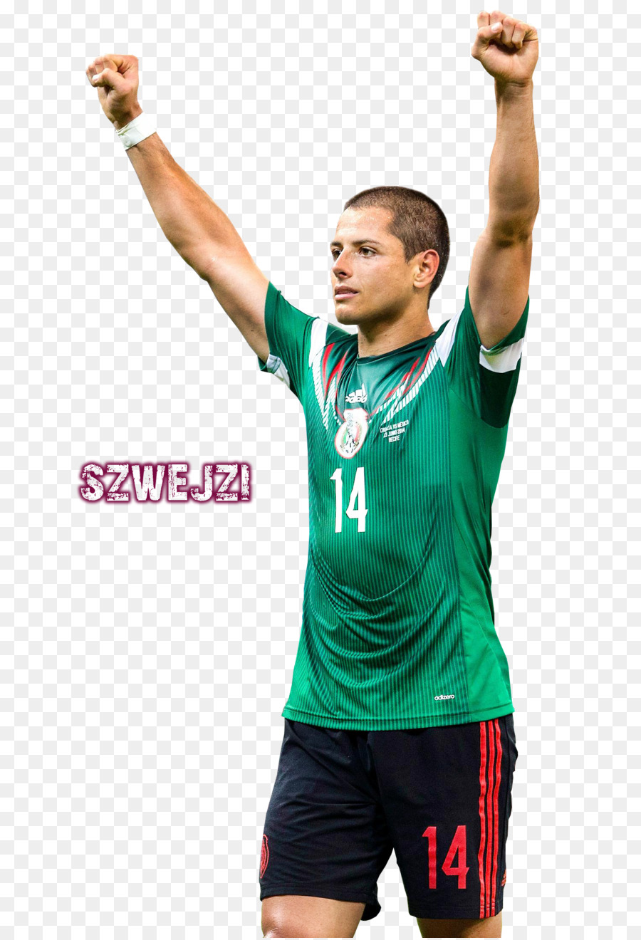 Javier Hernandez，Le Mexique équipe Nationale De Football PNG