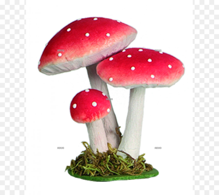 Amanite Muscaria，Champignon PNG