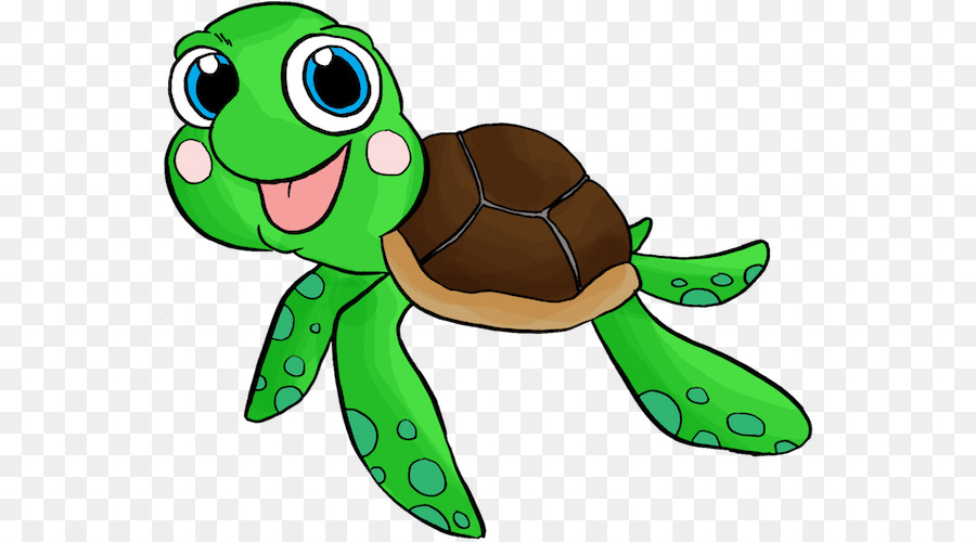 Tortue Verte，Coquille PNG