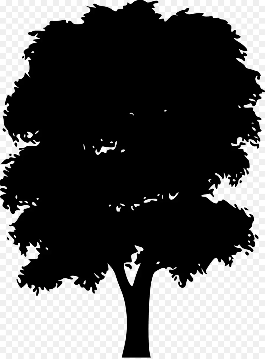 Silhouette D'arbre，Ombre PNG