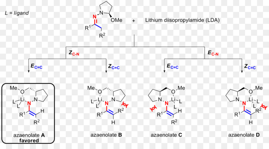 Enders Sampramp Hydrazonealkylation Réaction，Auxiliaires Chiraux PNG