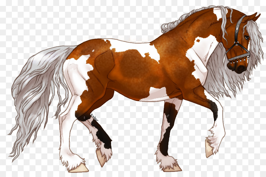 Cheval，Crinière PNG