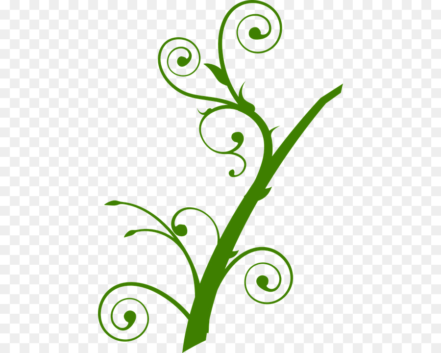 Vigne Verte，Feuilles PNG