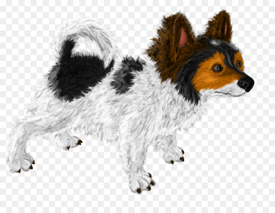 Chien De Compagnie，Chien PNG