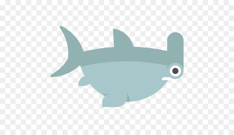 Requin，Animal PNG