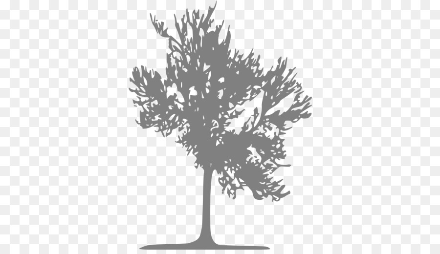 Arbre Noir，Feuilles PNG