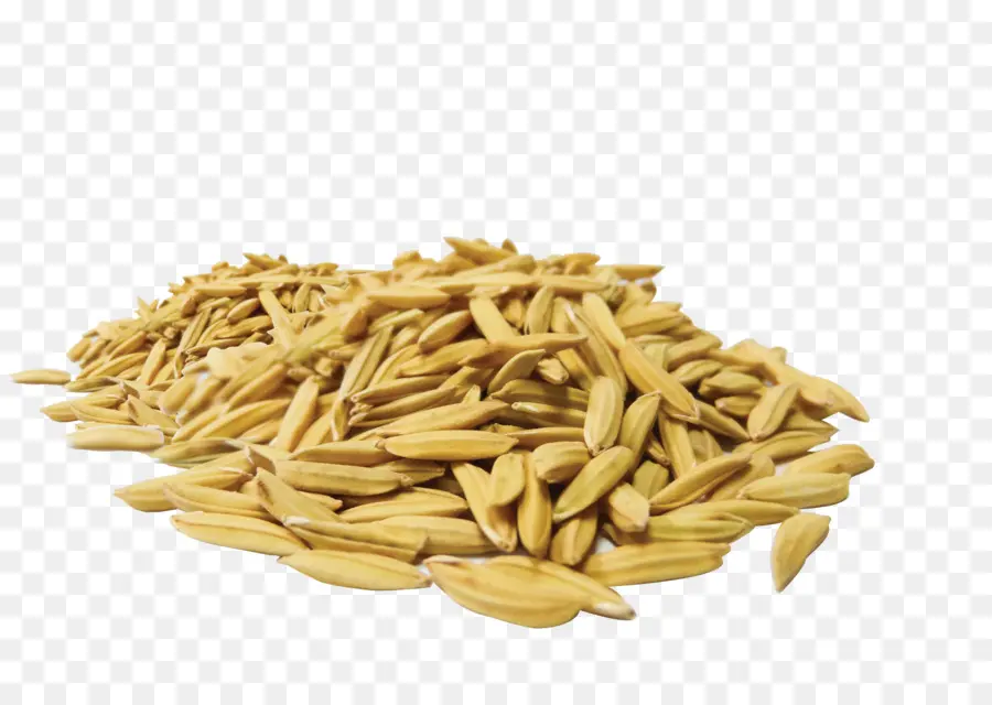 Grains De Riz，Non Cuit PNG