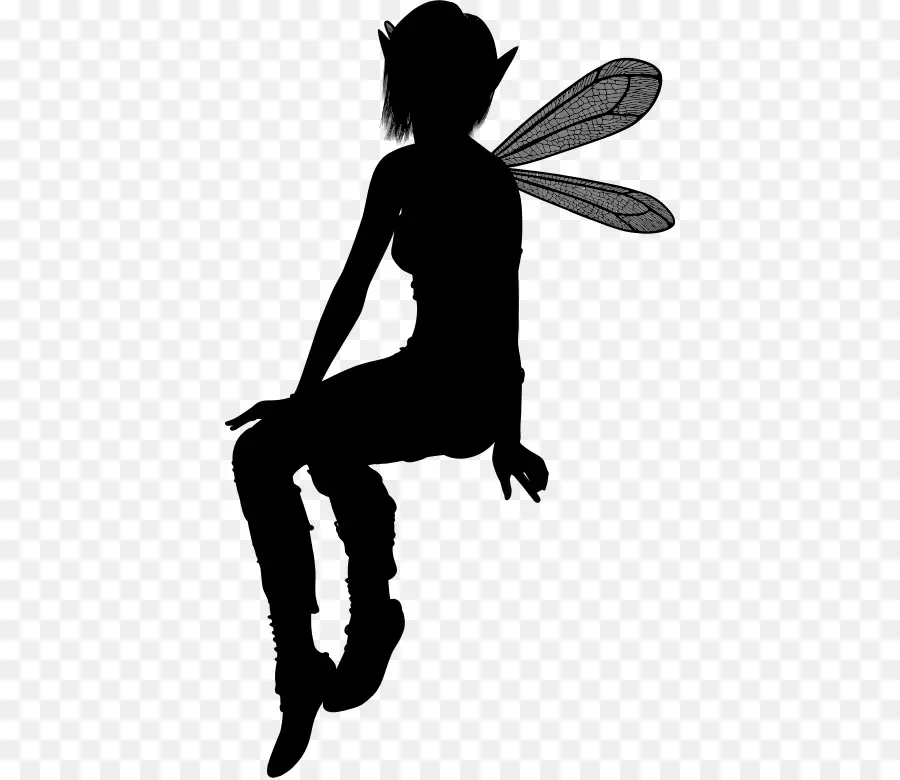 Fée Silhouette，Ailes PNG