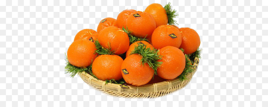 Oranges，Agrumes PNG