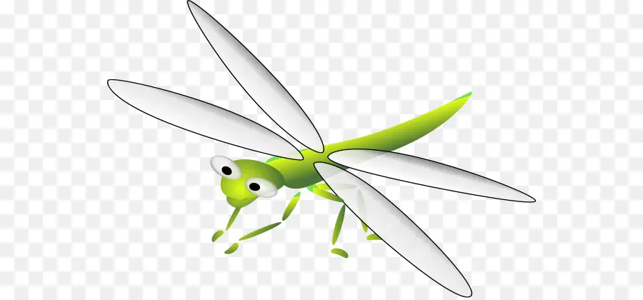 Modèle D'insecte Vert，Ailes PNG