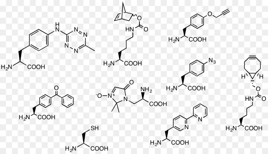 Aldéhyde，Oyakodon PNG