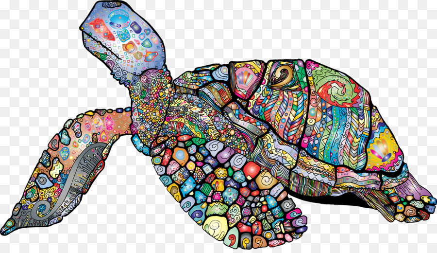 Tortue，Coloré PNG