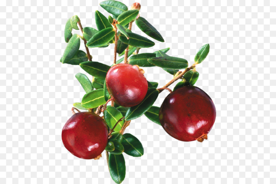 Jus De Cranberry，Jus PNG